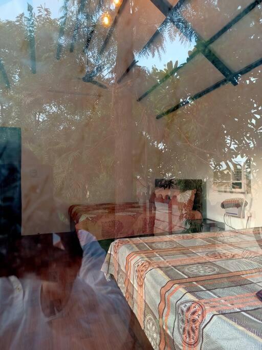 Achal Farm जंगल में मंगल Villa Gurgaon Luaran gambar