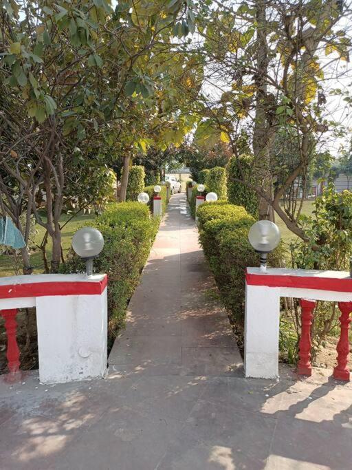 Achal Farm जंगल में मंगल Villa Gurgaon Luaran gambar