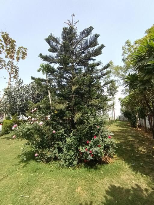 Achal Farm जंगल में मंगल Villa Gurgaon Luaran gambar